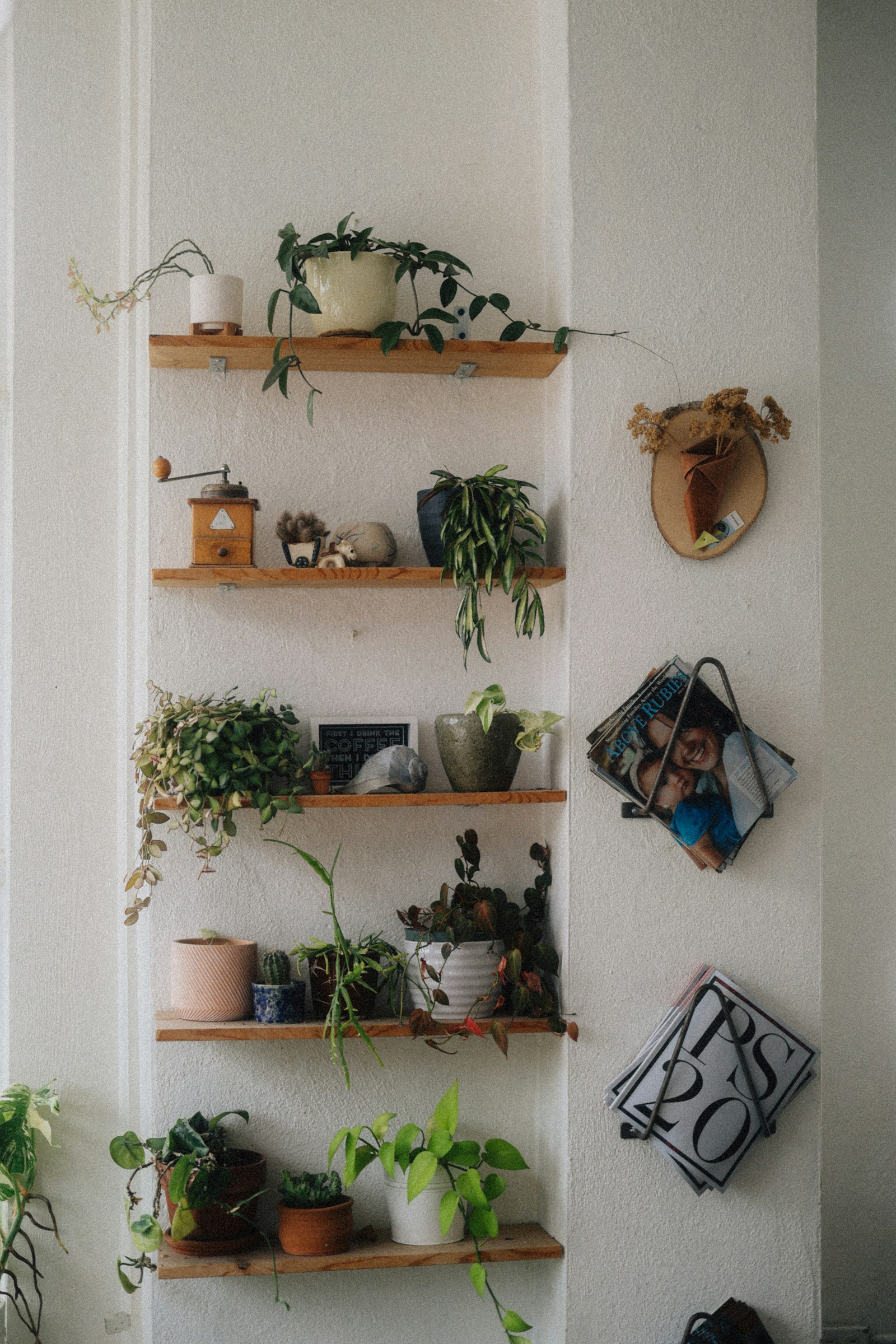 Open shelving styled with leafy green plants and simple decor against a white wall.