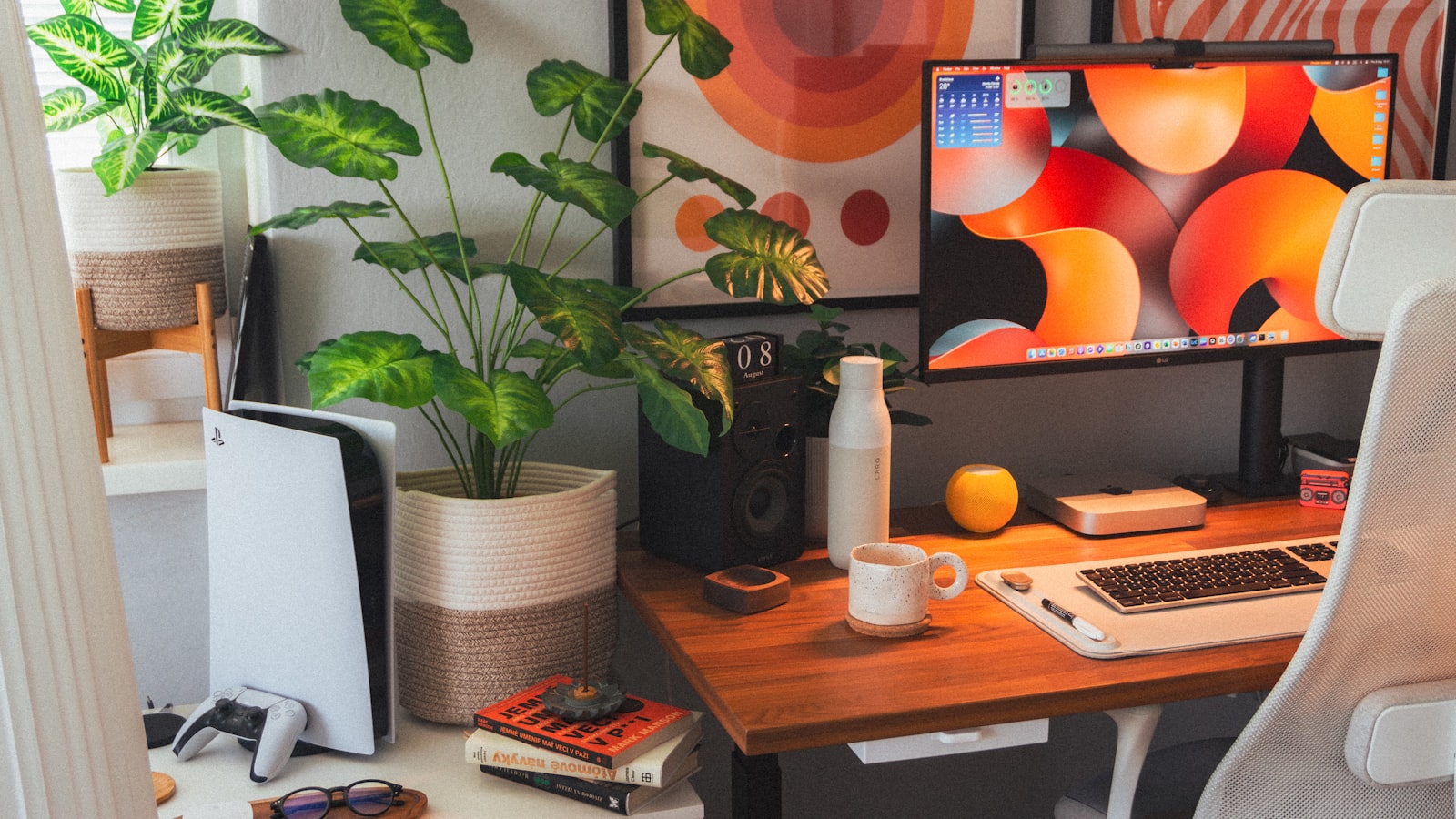 A minimalist desk with an open laptop and a leafy potted plant in bright, natural light.