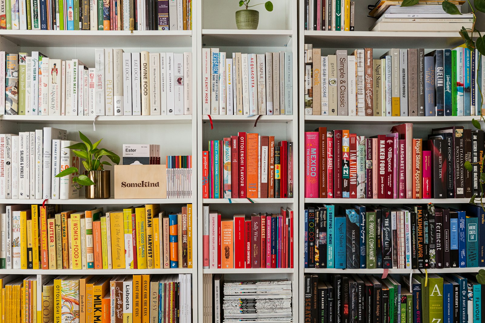 Neatly arranged books on a white wooden shelf in warm natural light.